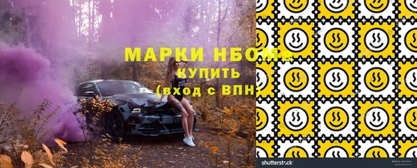 таблы Краснослободск