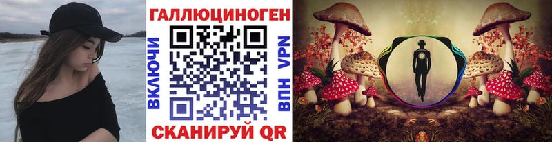 Купить где  Южа  Галлюциногенные грибы прущие грибы 