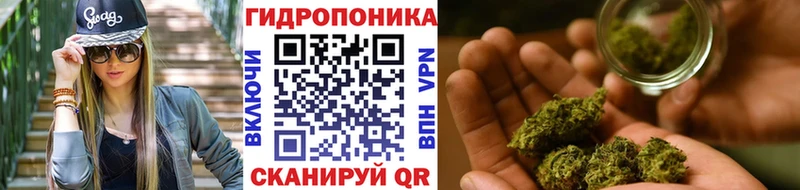 Купить закладки  Южа  Шишки марихуана MAZAR 